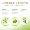 舒蕾绿茶籽控油去屑洗发露700ML 商品缩略图4