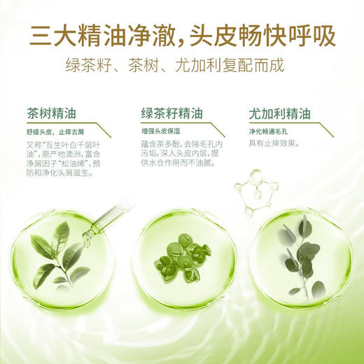 舒蕾绿茶籽控油去屑洗发露700ML 商品图4