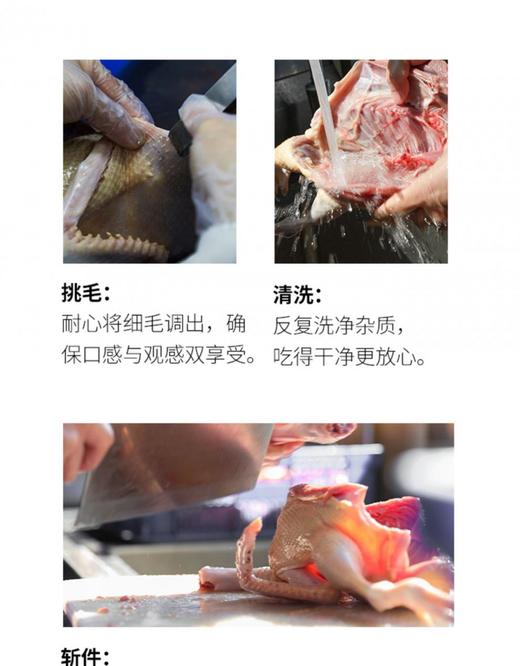 姜母鸭 古法砂锅 福建特产 伴手礼 加热即食 鸭熟食 顺丰冷链真空 1包装 商品图2