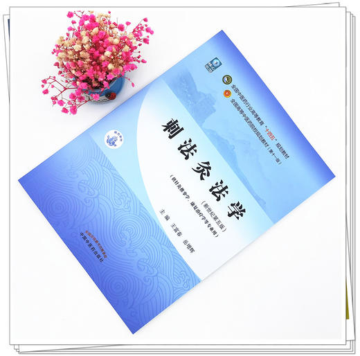 【出版社直销】刺法灸法学 王富春 岳增辉 著 新世纪第五5版 全国中医药行业高等教育十四五规划教材第十一版中国中医药出版社 商品图1