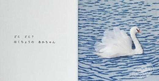 【中商原版】どこどこ？ねどこ 进口艺术 哪里,哪里？被窝在哪里 刺绣绘本书 juno 福音馆书店出版 日文原版 商品图7