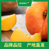 PAGODA百果园 黄油蟠桃9粒礼盒装（大果，单果重120g-170g，净重3斤） 商品缩略图4