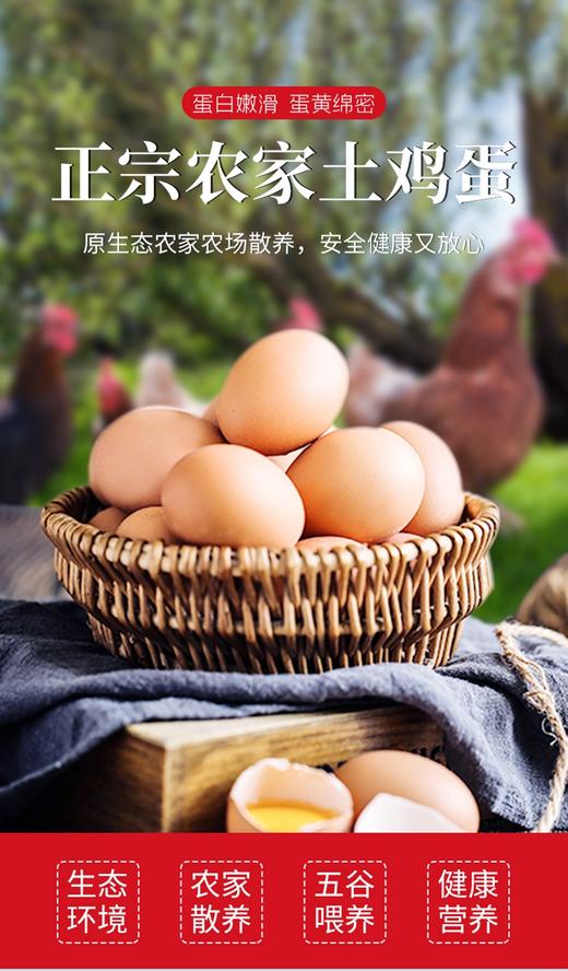 农家散养土鸡蛋40枚 商品图5