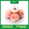 PAGODA百果园 龙泉水蜜桃9个普通装（单果重≥150g） 商品缩略图4