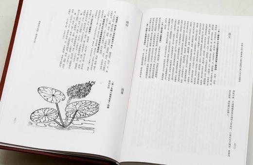 《中华大典.农业典 救荒植物分典》，精装，16开两册，中华大典编纂委员会编，西南师范大学出版社2018年一版一印，定价1080，售价216元。

本书主要辑录古籍中有关救济灾民使度过饥荒的植物方面的资 商品图6