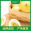 PAGODA百果园 黄金百香果3斤彩箱装（中果，单果重60g-70g） 商品缩略图3