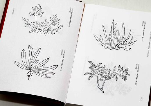 《中华大典.农业典 救荒植物分典》，精装，16开两册，中华大典编纂委员会编，西南师范大学出版社2018年一版一印，定价1080，售价216元。

本书主要辑录古籍中有关救济灾民使度过饥荒的植物方面的资 商品图9