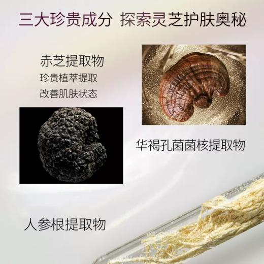 【271元会员福利】美伊娜多缔凡优化灵芝精华霜30g   灵芝养肤   商品图1