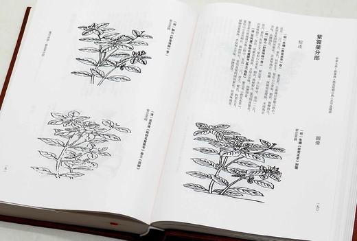 《中华大典.农业典 救荒植物分典》，精装，16开两册，中华大典编纂委员会编，西南师范大学出版社2018年一版一印，定价1080，售价216元。

本书主要辑录古籍中有关救济灾民使度过饥荒的植物方面的资 商品图4