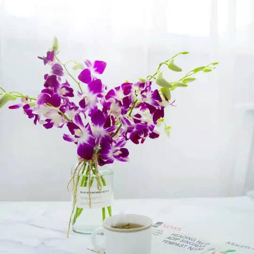 洋兰  紫色  12支/扎 以实物为准 云南基地发货（价格已包含包装费用） 运费以实际为准，多退少补。 商品图0