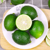 青柠檬480g-520g 商品缩略图0