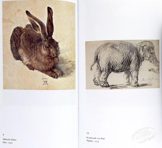 【中商原版】The Story of Art 进口艺术 艺术的故事 Phaidon 艺术史 艺术入门 艺术理论 商品图5