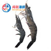 鲜活九节虾 /斤 商品缩略图1