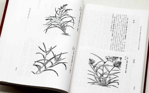 《中华大典.农业典 救荒植物分典》，精装，16开两册，中华大典编纂委员会编，西南师范大学出版社2018年一版一印，定价1080，售价216元。

本书主要辑录古籍中有关救济灾民使度过饥荒的植物方面的资 商品图12