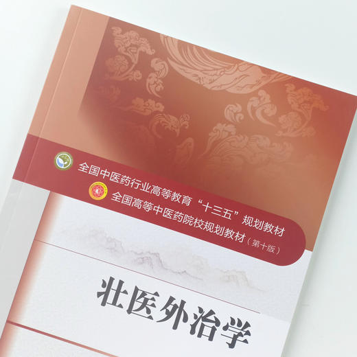 现货 正版【出版社直销】壮医外治学(十三五规划/本科/第十版/供壮医学专用)林辰 吕琳 编 中国中医药出版社   商品图3
