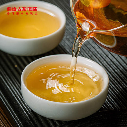 澜沧古茶999云南普洱茶生茶熟茶惊喜大礼包1g 商品图2