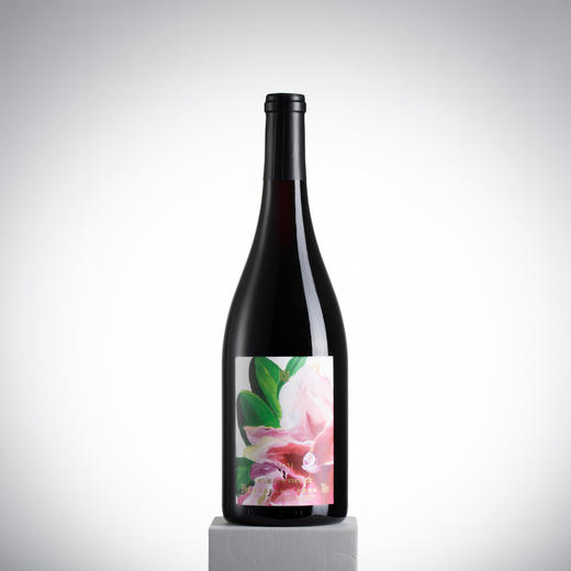 嘉地酒园旗舰店品丽珠干红2021中国宁夏贺兰山东麓葡萄酒750ml 商品图0