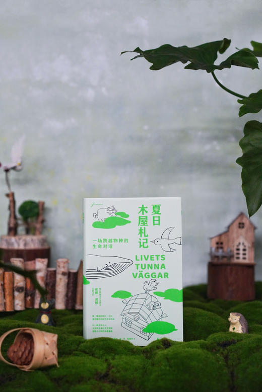 夏日木屋札记：一场跨越物种的生命对话 商品图2