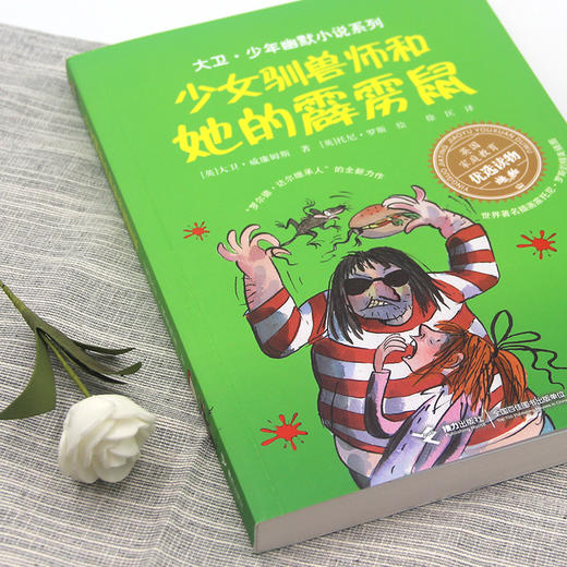 少女驯兽师和她的霹雳鼠 商品图1