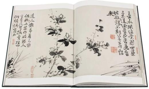 明画全集 第十卷 徐渭/中国历代绘画大系/浙江大学出版社 第10卷 商品图6