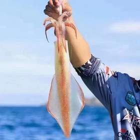 【海钓特大鱿鱼】妈鲜乐精选野生海钓特大鱿鱼，味道鲜美，个大肉厚，皮肤白中偏红，一条约8两-1.4斤。