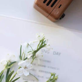 香雪兰 白色 10支/扎 以实物为准 云南基地发货（价格已包含包装费用）