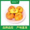 PAGODA百果园 黄油蟠桃9粒礼盒装（大果，单果重120g-170g，净重3斤） 商品缩略图5