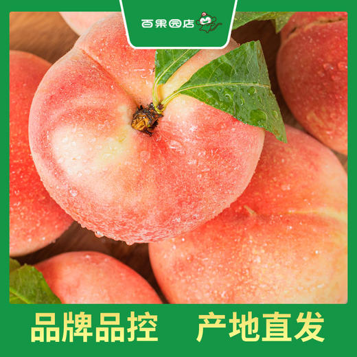 PAGODA百果园 龙泉水蜜桃9个普通装（单果重≥150g） 商品图3