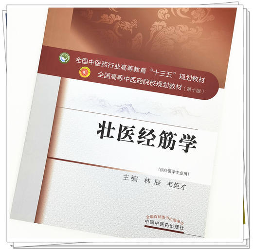 【出版社直销】壮医经筋学 林辰 韦英才 全国中医药行业高等教育十三五规划教材 中国中医药出版社 商品图4