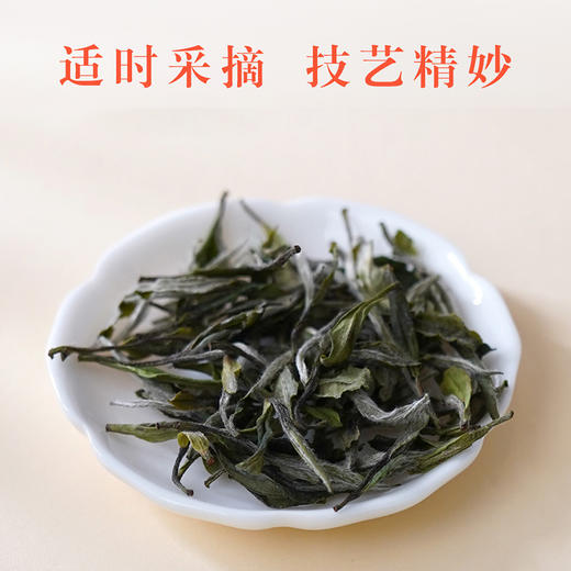 2025新茶·龙冠甄选【冠·牡丹-松溪白茶】礼盒 4g*32袋 商品图3