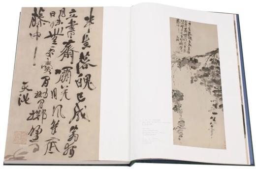 明画全集 第十卷 徐渭/中国历代绘画大系/浙江大学出版社 第10卷 商品图2