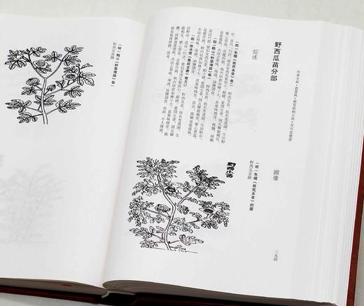 《中华大典.农业典 救荒植物分典》，精装，16开两册，中华大典编纂委员会编，西南师范大学出版社2018年一版一印，定价1080，售价216元。

本书主要辑录古籍中有关救济灾民使度过饥荒的植物方面的资 商品图5