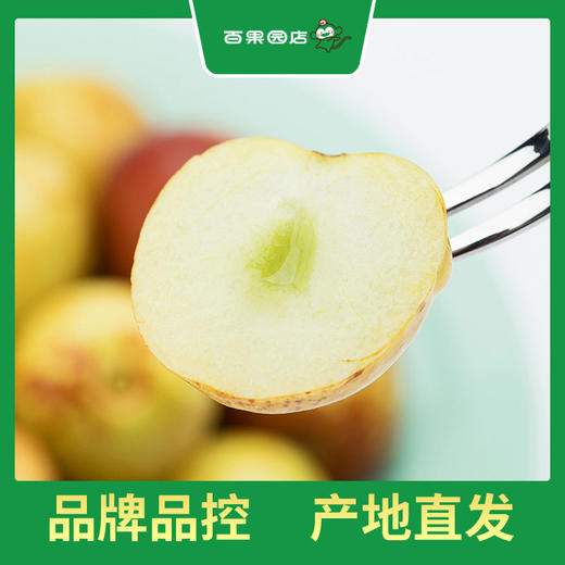 PAGODA百果园 甜蜜蜜冬枣3斤礼盒装（大果，单果重16g-22g） 商品图2