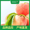 PAGODA百果园 龙泉水蜜桃9个普通装（单果重≥150g） 商品缩略图1