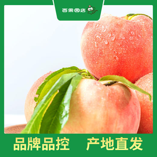 PAGODA百果园 龙泉水蜜桃9个普通装（单果重≥150g） 商品图1