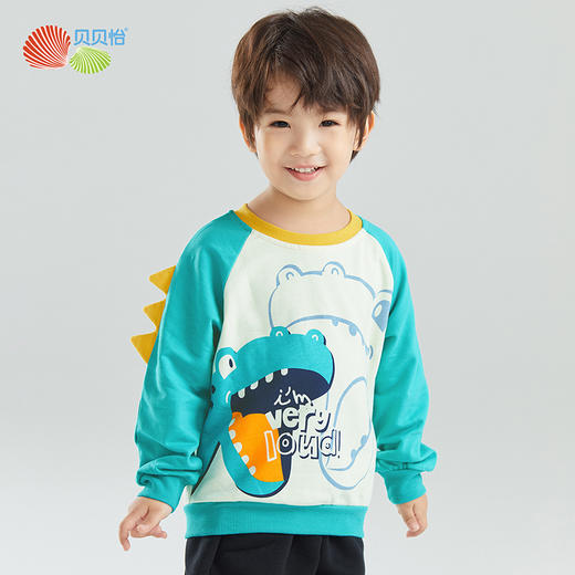 贝贝怡童装儿童卫衣秋季男童衣服休闲上衣洋气秋装223S3100 商品图0