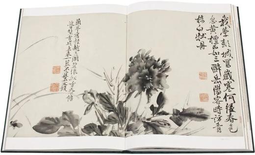 明画全集 第十卷 徐渭/中国历代绘画大系/浙江大学出版社 第10卷 商品图5