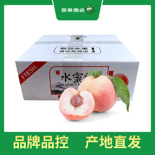 PAGODA百果园 龙泉水蜜桃9个普通装（单果重≥150g） 商品图5