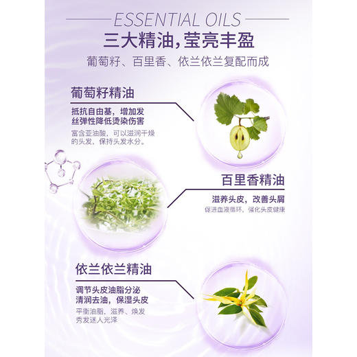 舒蕾葡萄籽强韧修护洗发露500ml 商品图4