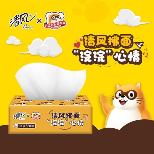 清风｜“浣浣”联名表情面巾抽纸超柔软、不易破超低价到手24包/箱 商品图3