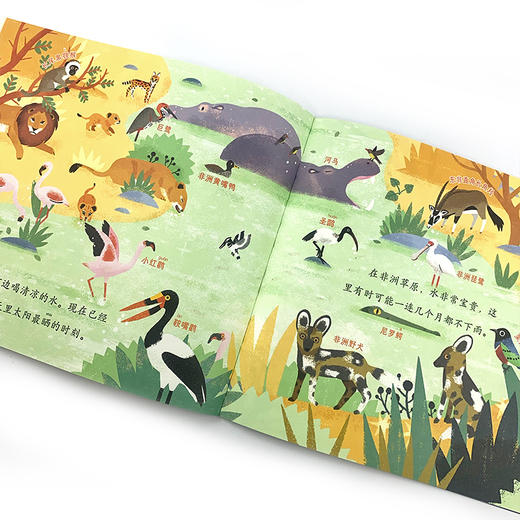 【3~7岁】蓝色星球的1天（全5册）+动物游戏卡 商品图4