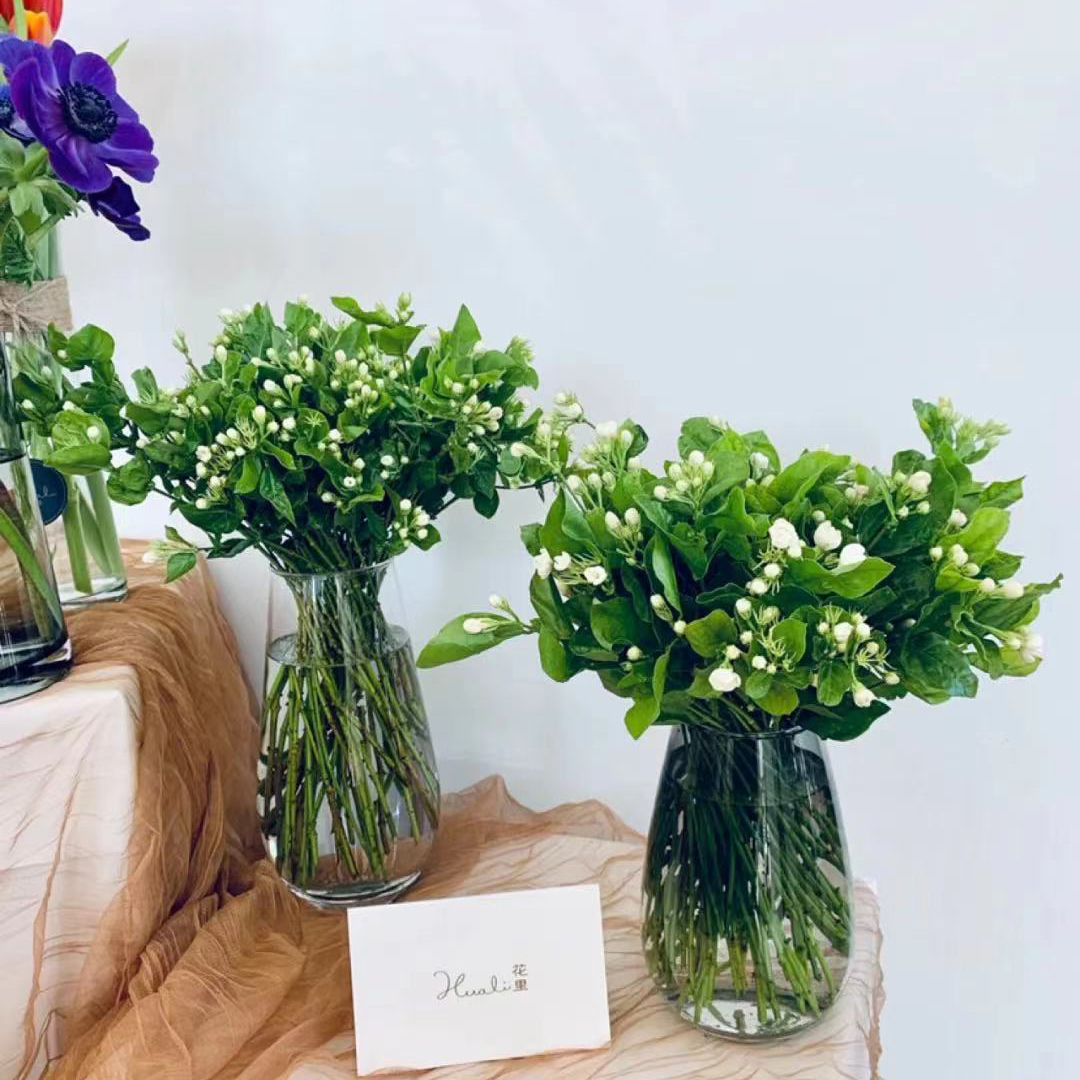 茉莉花 30支/扎 以实物为准 云南基地发货（价格已包含包装费用） 运费以实际为准，多退少补。