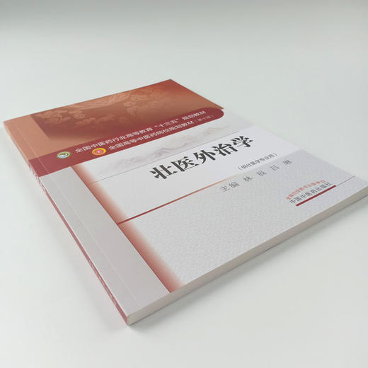 现货 正版【出版社直销】壮医外治学(十三五规划/本科/第十版/供壮医学专用)林辰 吕琳 编 中国中医药出版社   商品图4