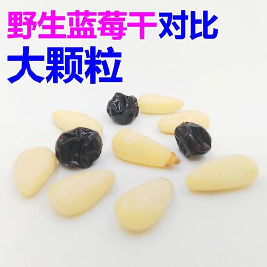 松子仁大颗粒 50克左右(下单前咨询客服)【1B4中-1A】 商品图1