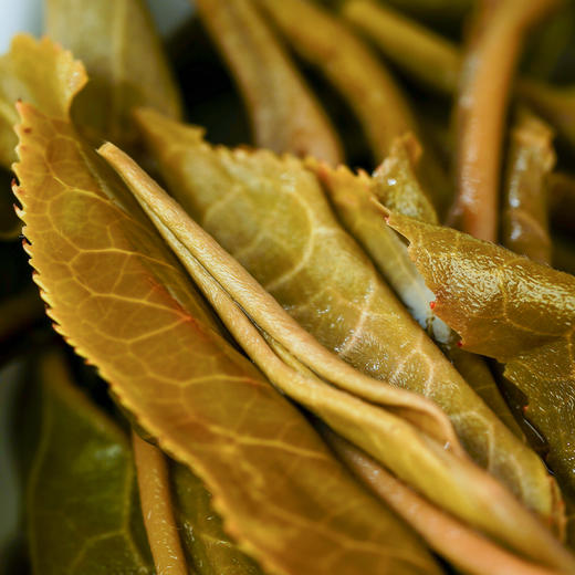 【黄印生态青饼】为老客而生为会员而作，整提出售福利款古粉会员的印记篇章，2022年春茶四大茶区精制357克/饼5饼/提 商品图4