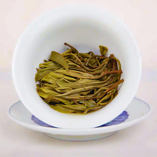 2023年野放冰岛头波春茶普洱生茶饼茶叶357克 商品图5