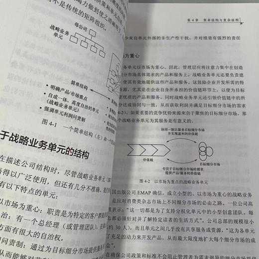 集团层面的组织设计 商品图2