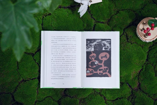 夏日木屋札记：一场跨越物种的生命对话 商品图7