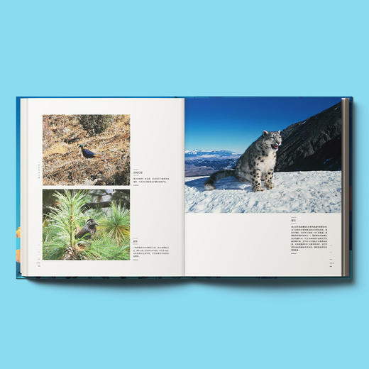 《走近地球之巅》 商品图4