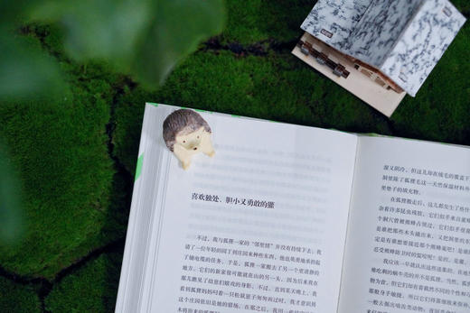 广雅·夏日木屋札记：一场跨越物种的生命对话 自由大地丛书系列 （瑞典）妮娜·波顿/著 商品图4